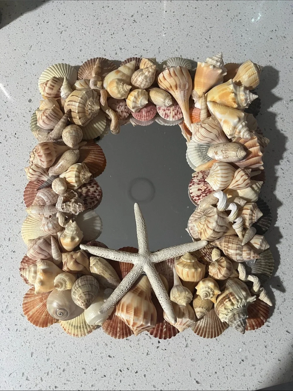 Handmade Coastal Seashell “Charli’ Starfish Wall Mirror - Natural Beige Shells